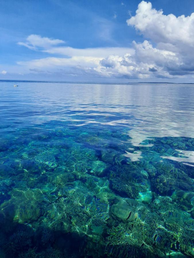 Blue Shark Divers Bunaken Εξωτερικό φωτογραφία