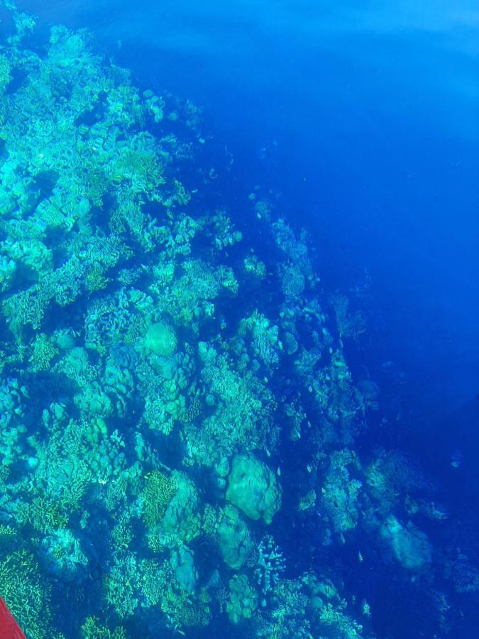 Blue Shark Divers Bunaken Εξωτερικό φωτογραφία