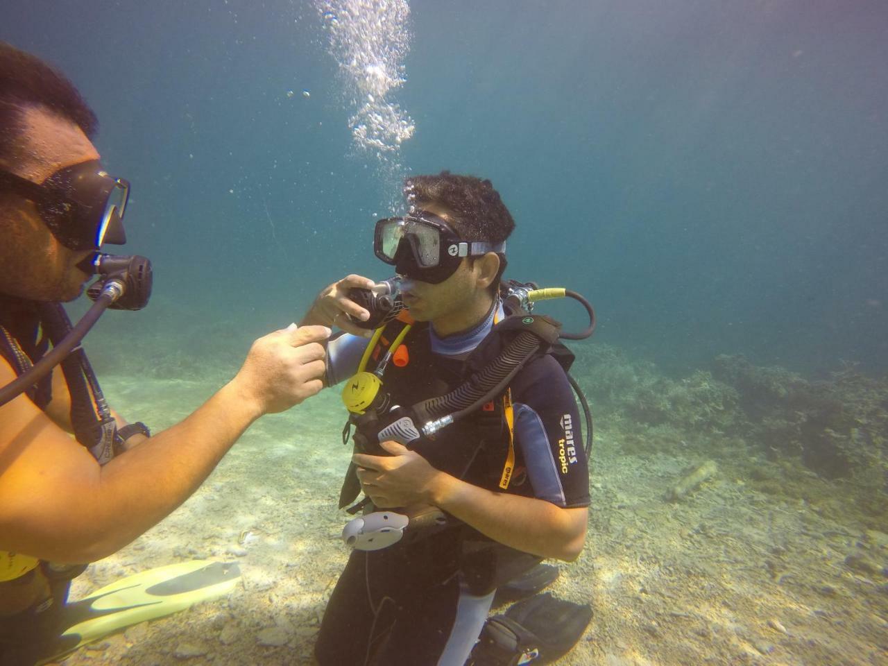 Blue Shark Divers Bunaken Εξωτερικό φωτογραφία
